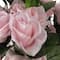 Gerbe de roses roses d'Ashland